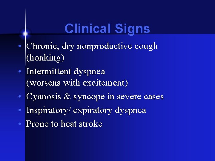 Clinical Signs • Chronic, dry nonproductive cough (honking) • Intermittent dyspnea (worsens with excitement)