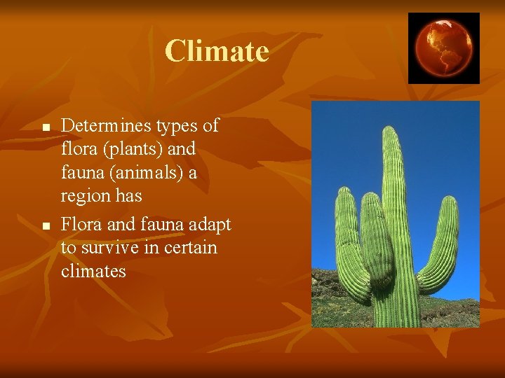 Climate n n Determines types of flora (plants) and fauna (animals) a region has