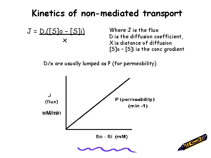 Kinetics of non-mediated transport J = D. ([S]o – [S]i) x Where J is