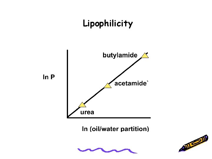 Lipophilicity 