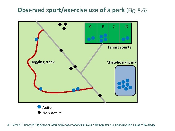Observed sport/exercise use of a park (Fig. 8. 6) A B C D Tennis