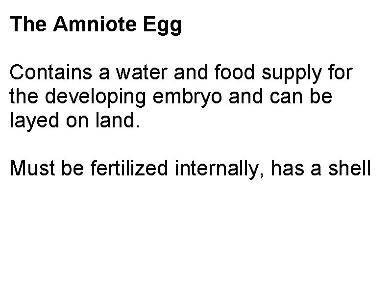 The Amniote Egg Contains a water and food supply for the developing embryo and The Amniote Egg Contains a water and food supply for the developing embryo and