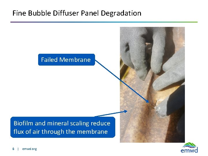 Fine Bubble Diffuser Panel Degradation Failed Membrane Biofilm and mineral scaling reduce flux of
