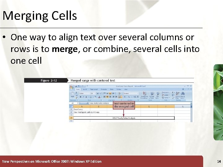 Merging Cells XP • One way to align text over several columns or rows