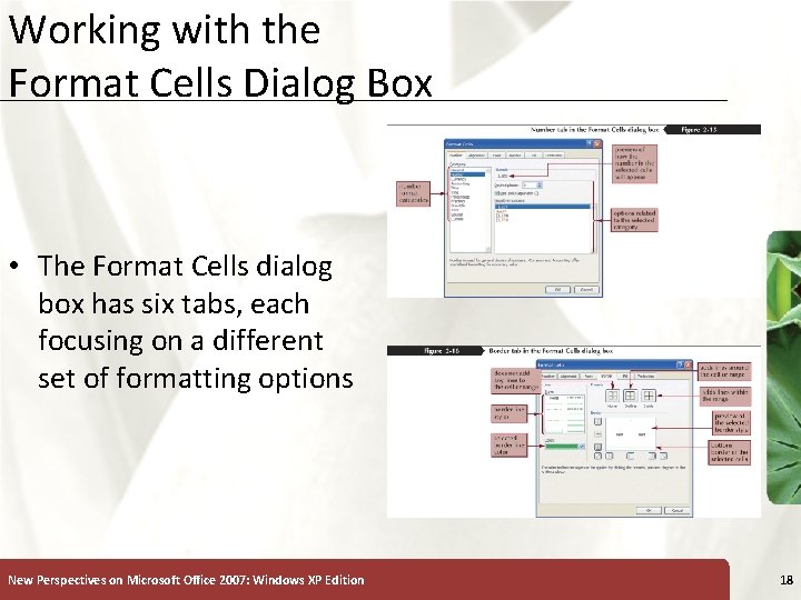 Working with the Format Cells Dialog Box XP • The Format Cells dialog box