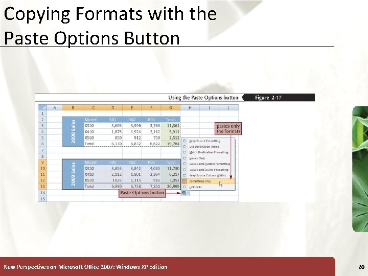 Copying Formats with the Paste Options Button New Perspectives on Microsoft Office 2007: Windows