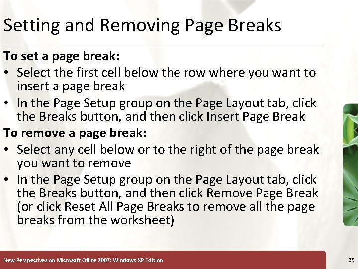 Setting and Removing Page Breaks XP To set a page break: • Select the