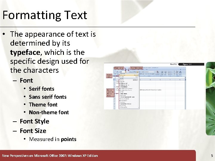 Formatting Text XP • The appearance of text is determined by its typeface, which
