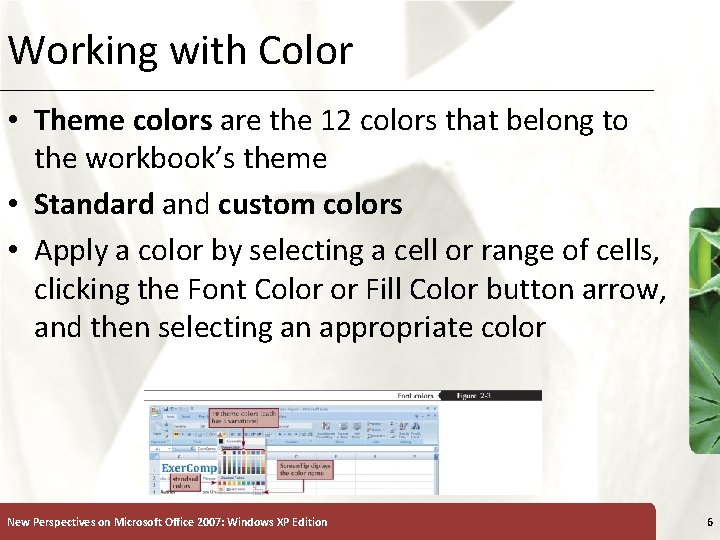Working with Color XP • Theme colors are the 12 colors that belong to