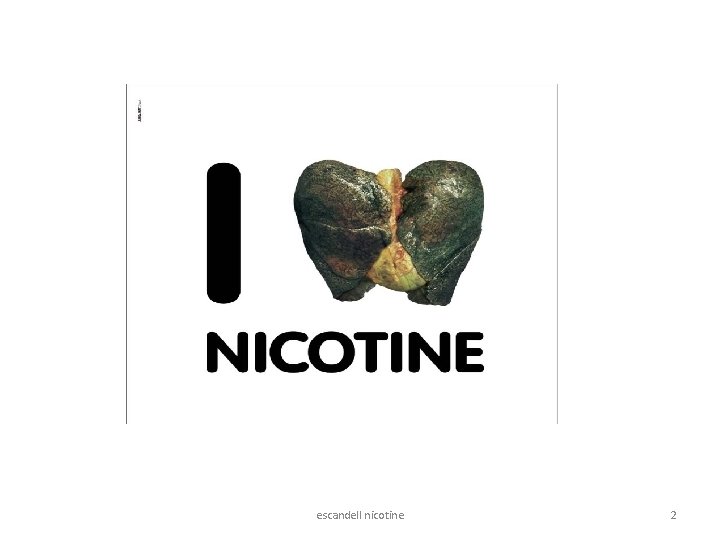 escandell nicotine 2 