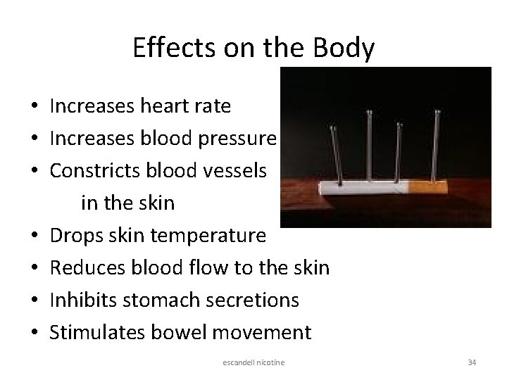 Effects on the Body • Increases heart rate • Increases blood pressure • Constricts