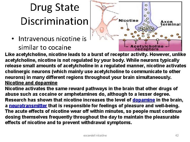 Drug State Discrimination • Intravenous nicotine is similar to cocaine Like acetylcholine, nicotine leads