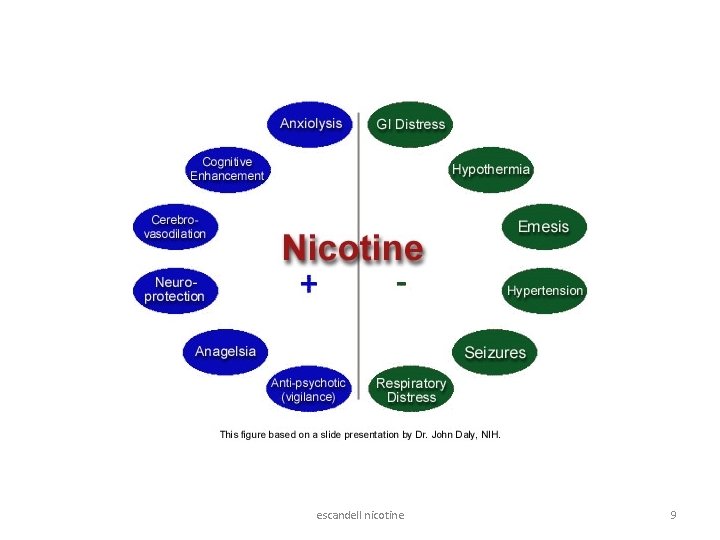 escandell nicotine 9 