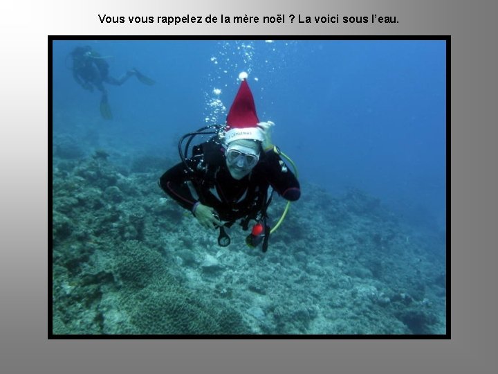 Vous vous rappelez de la mère noël ? La voici sous l’eau. 