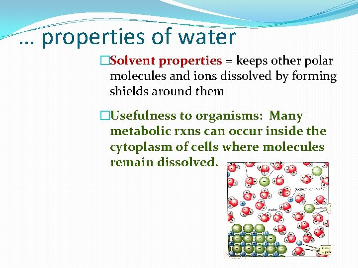 … properties of water �Solvent properties = keeps other polar molecules and ions dissolved