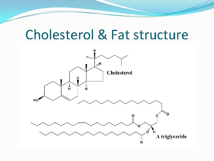 Cholesterol & Fat structure 