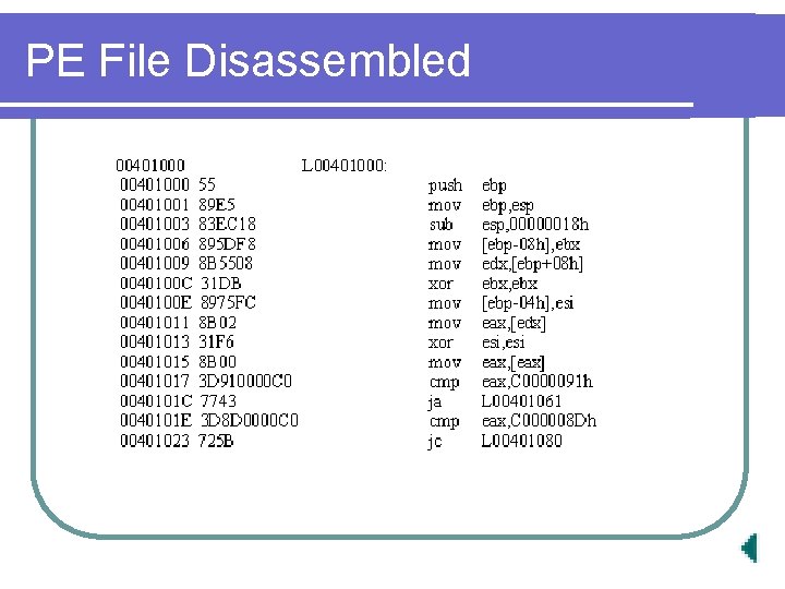 PE File Disassembled 