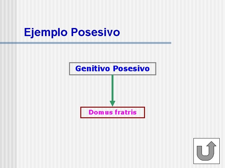 Ejemplo Posesivo Genitivo Posesivo Domus fratris 