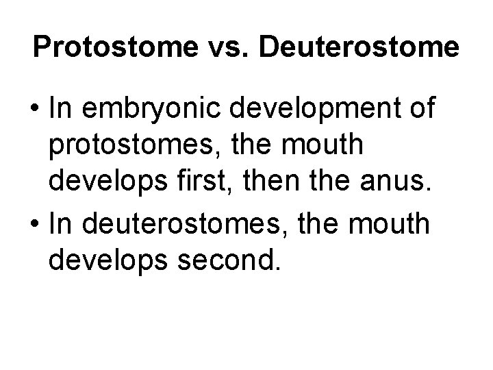 Protostome vs. Deuterostome • In embryonic development of protostomes, the mouth develops first, then