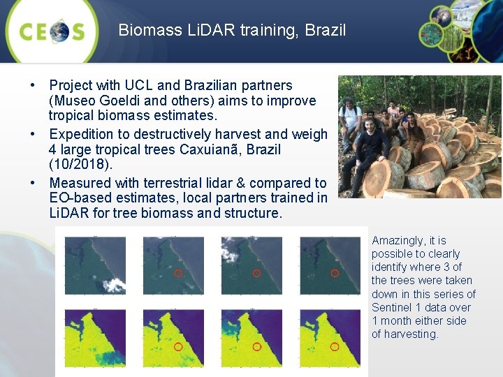 Biomass Li. DAR training, Brazil • Project with UCL and Brazilian partners (Museo Goeldi