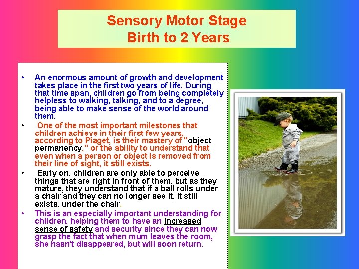 Sensory Motor Stage Birth to 2 Years • • An enormous amount of growth