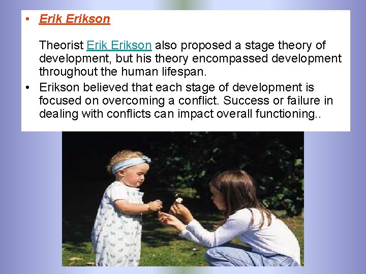  • Erikson Theorist Erikson also proposed a stage theory of development, but his