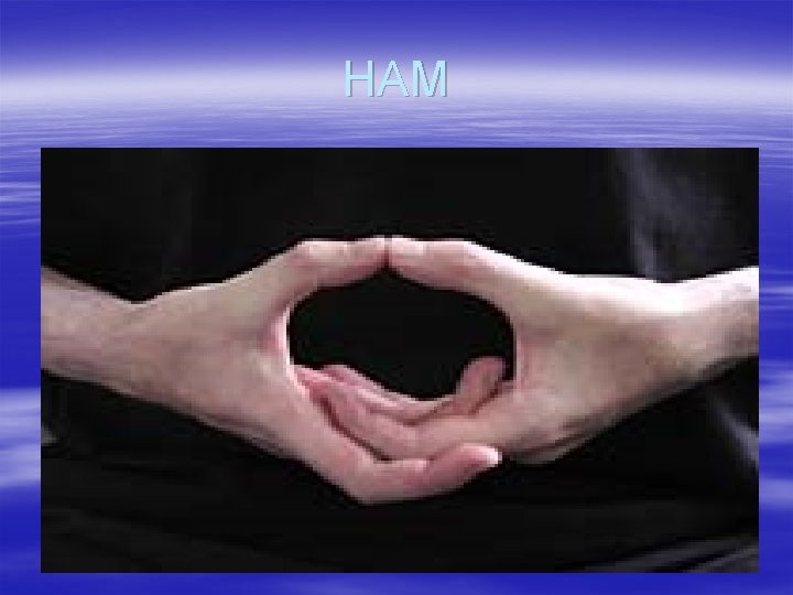 HAM 