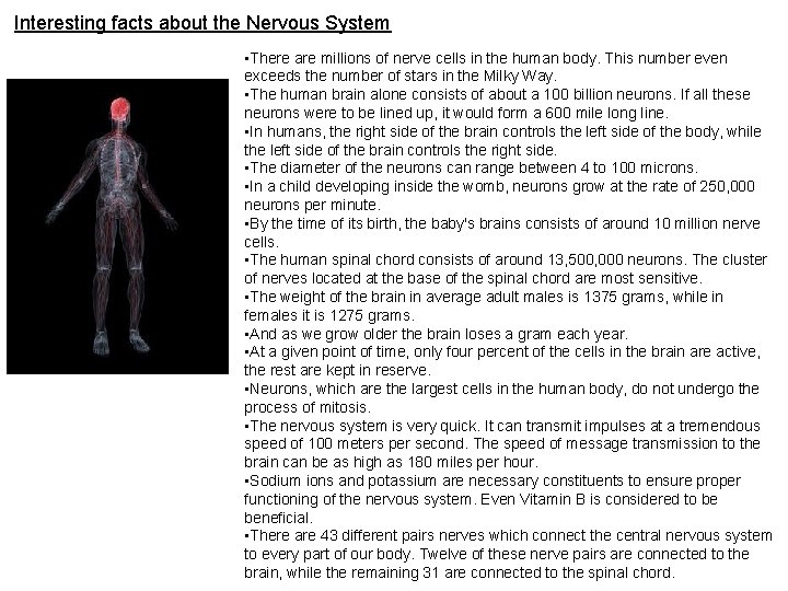 Interesting facts about the Nervous System • There are millions of nerve cells in