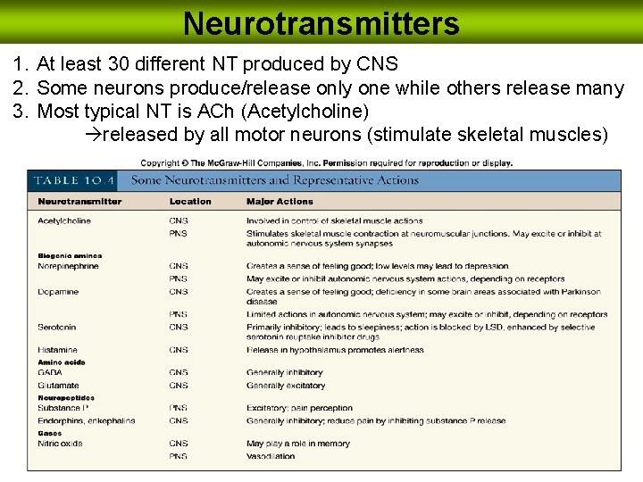 Neurotransmitters 1. At least 30 different NT produced by CNS 2. Some neurons produce/release