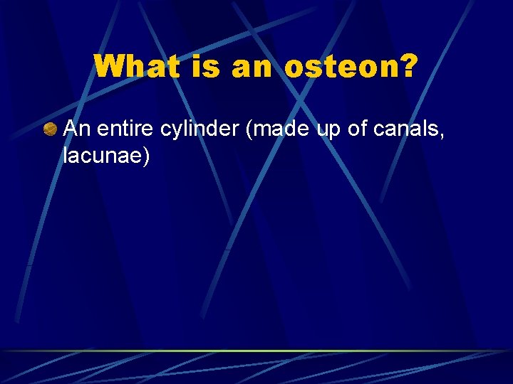 What is an osteon? An entire cylinder (made up of canals, lacunae) 