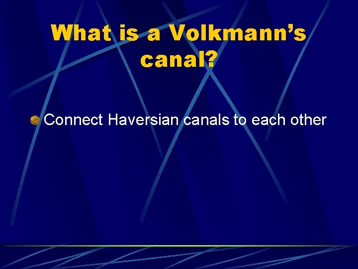 What is a Volkmann’s canal? Connect Haversian canals to each other 