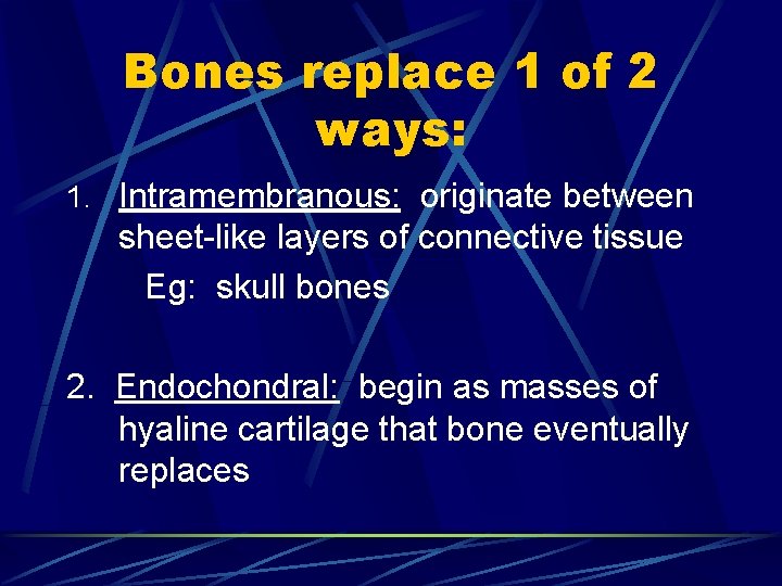 Bones replace 1 of 2 ways: 1. Intramembranous: originate between sheet-like layers of connective