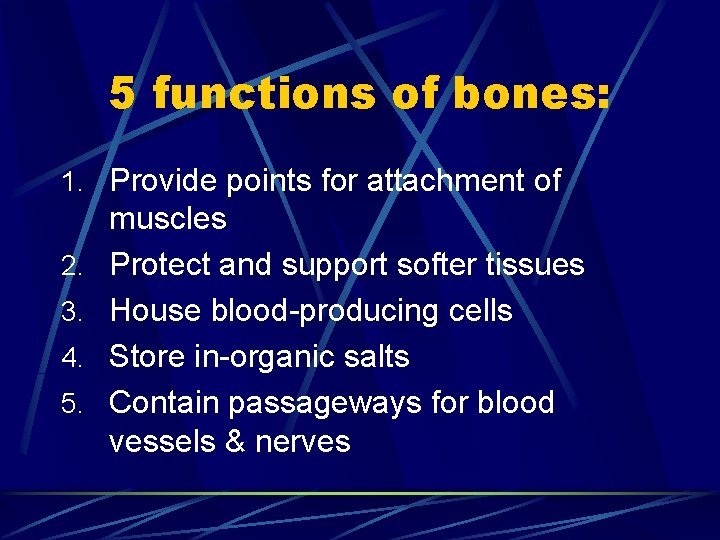 5 functions of bones: 1. Provide points for attachment of 2. 3. 4. 5.