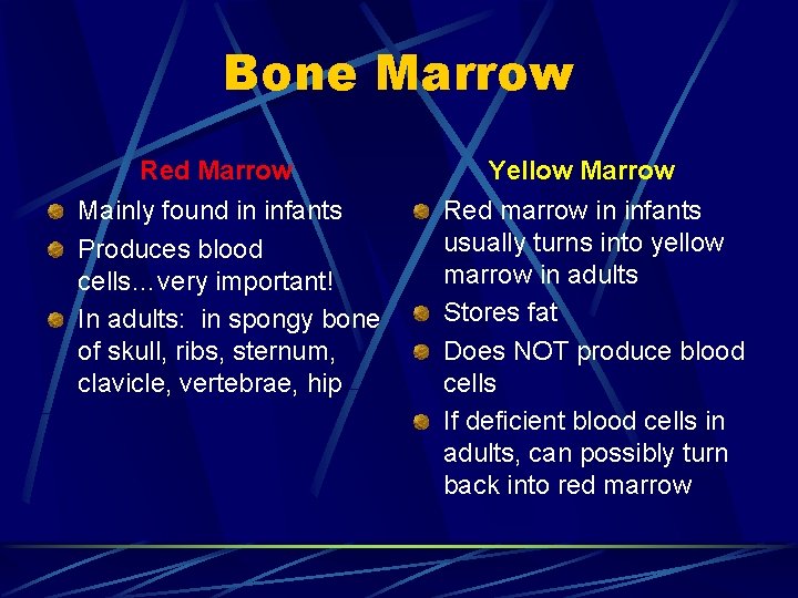Bone Marrow Red Marrow Mainly found in infants Produces blood cells…very important! In adults: