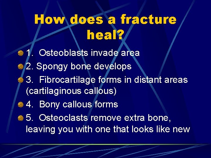 How does a fracture heal? 1. Osteoblasts invade area 2. Spongy bone develops 3.