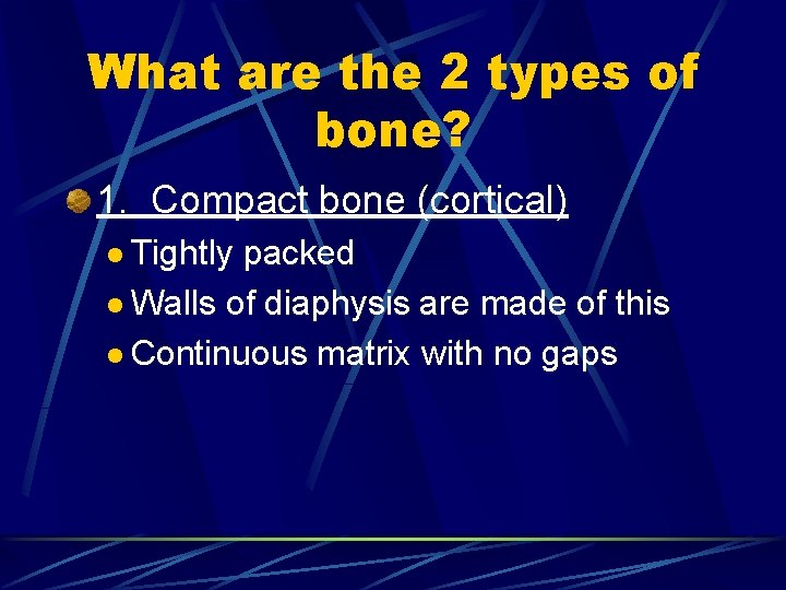 What are the 2 types of bone? 1. Compact bone (cortical) l Tightly packed