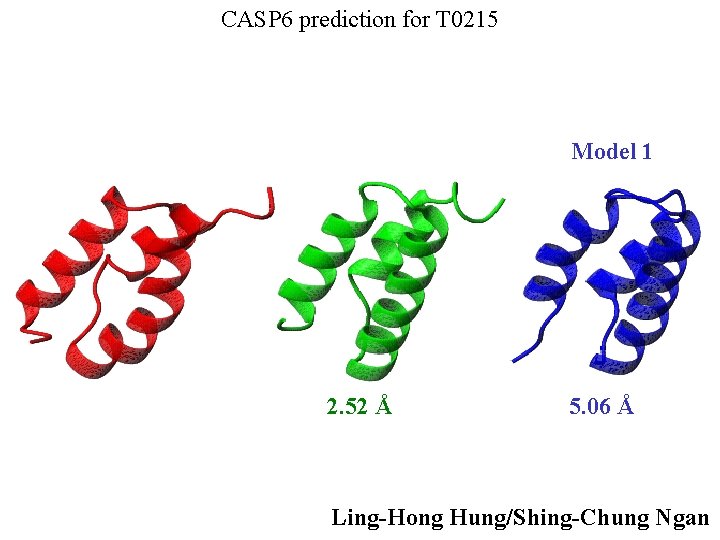 CASP 6 prediction for T 0215 Model 1 2. 52 Å 5. 06 Å