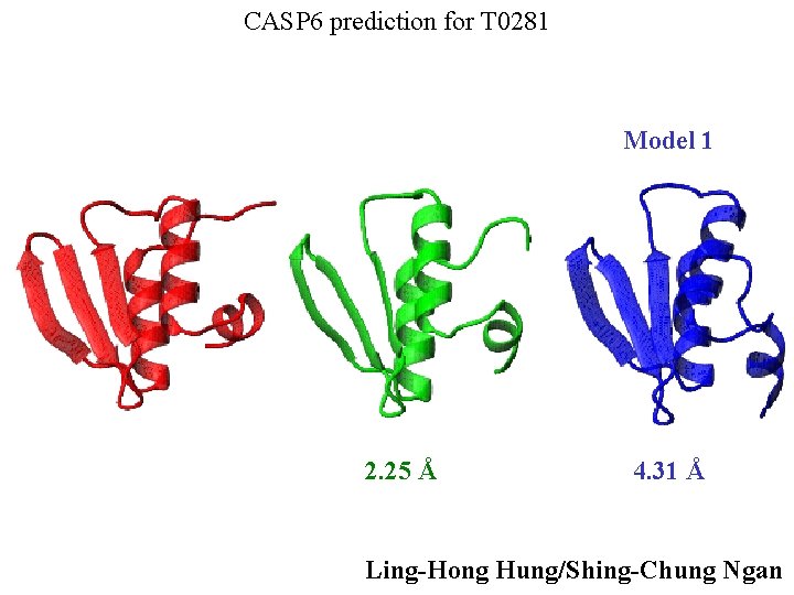 CASP 6 prediction for T 0281 Model 1 2. 25 Å 4. 31 Å