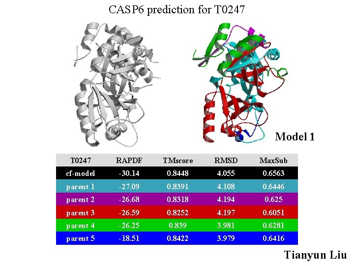 CASP 6 prediction for T 0247 Model 1 T 0247 RAPDF TMscore RMSD Max.