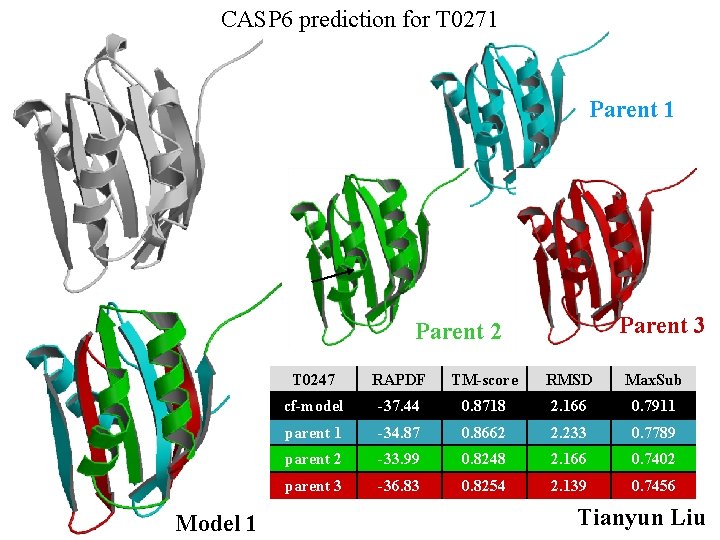 CASP 6 prediction for T 0271 Parent 3 Parent 2 Model 1 T 0247