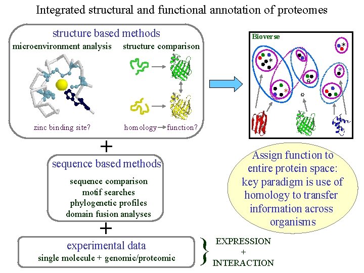 Integrated structural and functional annotation of proteomes structure based methods microenvironment analysis Bioverse structure