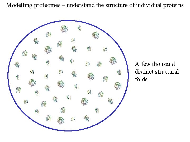 Modelling proteomes – understand the structure of individual proteins A few thousand distinct structural