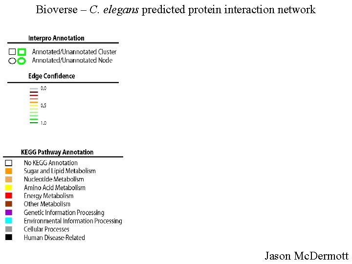 Bioverse – C. elegans predicted protein interaction network Jason Mc. Dermott 