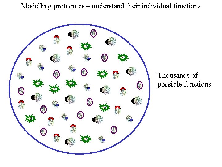 Modelling proteomes – understand their individual functions Thousands of possible functions 