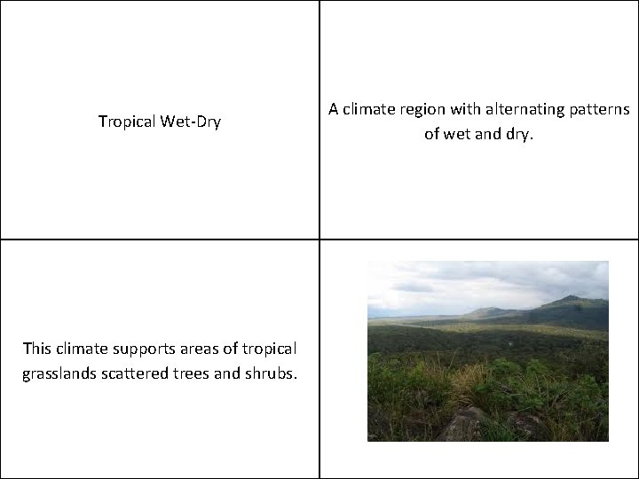 Tropical Wet-Dry This climate supports areas of tropical grasslands scattered trees and shrubs. A