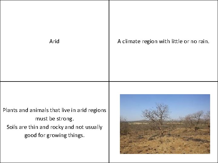 Arid Plants and animals that live in arid regions must be strong. Soils are