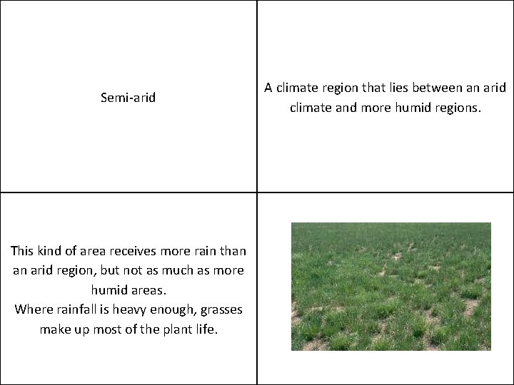 Semi-arid This kind of area receives more rain than an arid region, but not