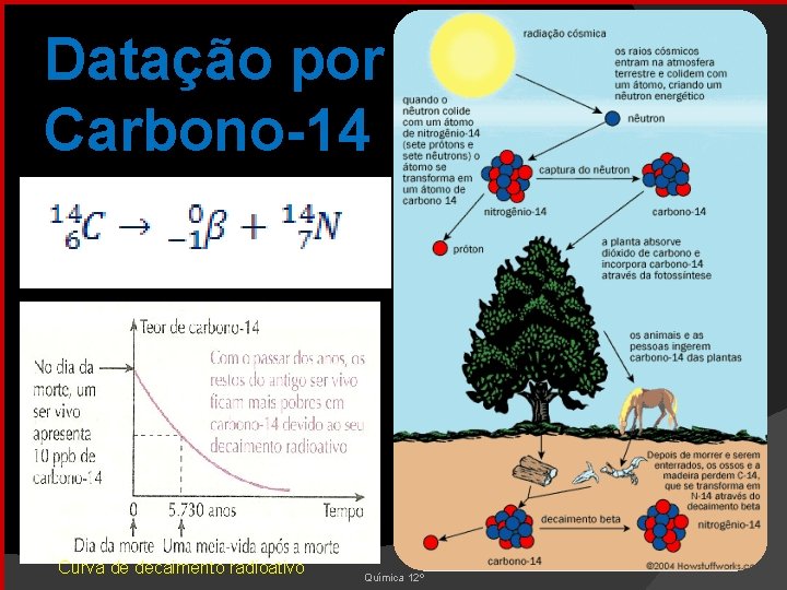 Datação por Carbono-14 Curva de decaimento radioativo Química 12º 