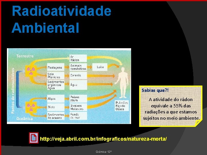 Radioatividade Ambiental Sabias que? ! A atividade do rádon equivale a 55% das radiações