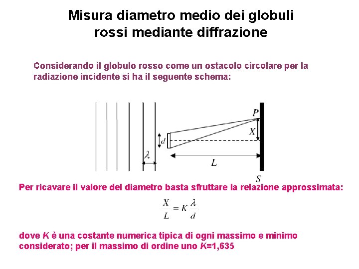 Misura diametro medio dei globuli rossi mediante diffrazione Considerando il globulo rosso come un
